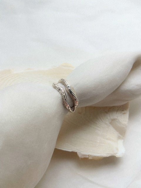 Double Cuttlefish Band - Oggie and Co