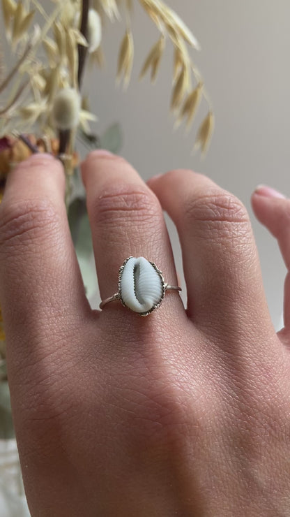 Sea Shell Ring