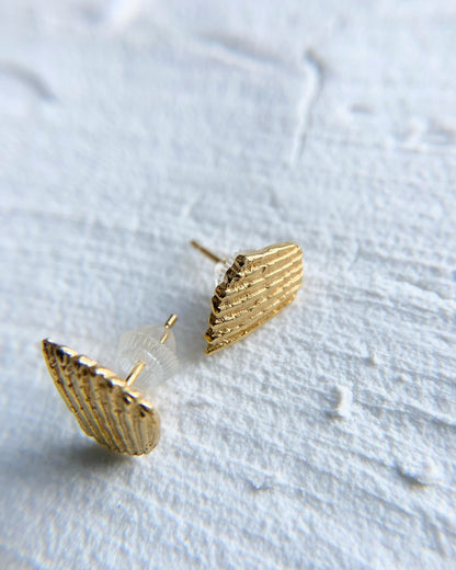 Rustic Shell Earrings